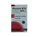 GERDA Vitamine B12 250µg 24 comprimés sécables