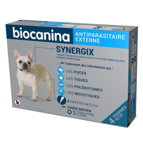 BIOCANINA Synergix solution spot-on chien 4 pipettes