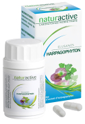 NATURACTIVE Elusanes harpagophyton 60 gélules