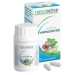 NATURACTIVE Elusanes harpagophyton 30 gélules