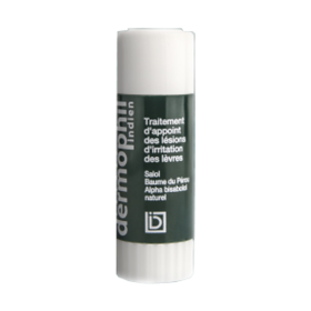DERMOPHIL INDIEN Stick lèvres application cutanée 3,5g