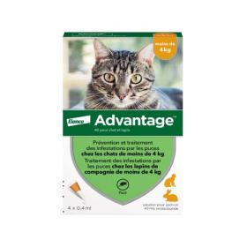 BAYER Advantage 40 chat -4kg 4 pipettes