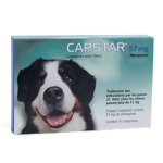 NOVARTIS SANTÉ ANIMALE Capstar grand chien 6 comprimés