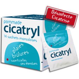 PIERRE FABRE Cicatryl pommade en 14 sachets 2g