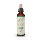 FLEURS DE BACH ORIGINAL Centaury n°4 20ml
