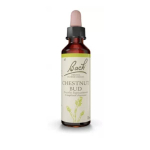 FLEURS DE BACH Chestnut bud n°7 20ml