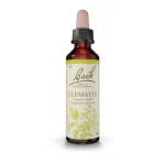 FLEURS DE BACH Clematis n°9 20ml