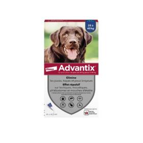 BAYER Advantix spot-on grand chien 4 pipettes